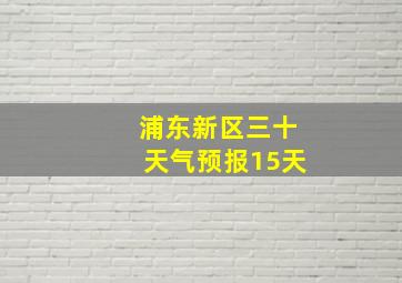 浦东新区三十天气预报15天