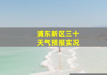 浦东新区三十天气预报实况