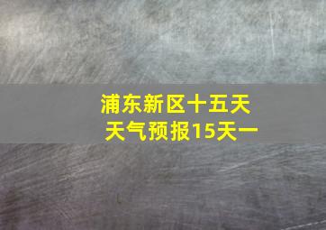 浦东新区十五天天气预报15天一