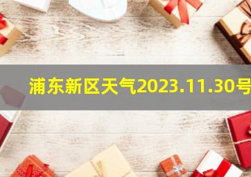 浦东新区天气2023.11.30号