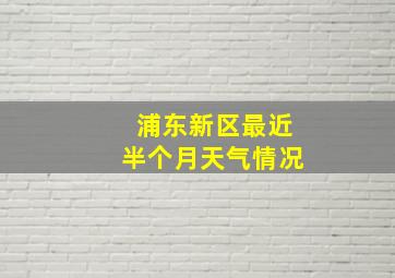 浦东新区最近半个月天气情况