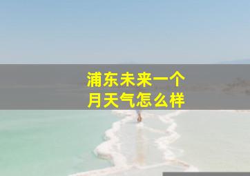 浦东未来一个月天气怎么样