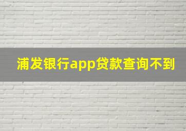 浦发银行app贷款查询不到