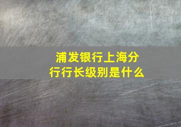 浦发银行上海分行行长级别是什么