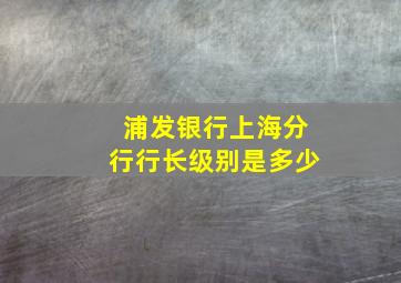 浦发银行上海分行行长级别是多少