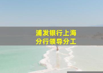 浦发银行上海分行领导分工