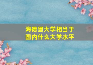 海德堡大学相当于国内什么大学水平