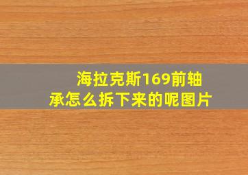 海拉克斯169前轴承怎么拆下来的呢图片