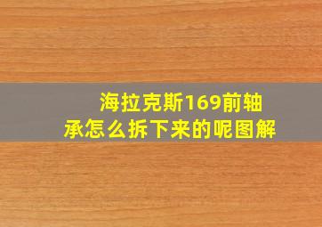 海拉克斯169前轴承怎么拆下来的呢图解