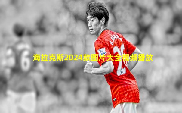 海拉克斯2024款图片大全视频播放