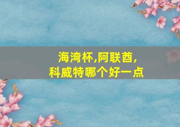 海湾杯,阿联酋,科威特哪个好一点