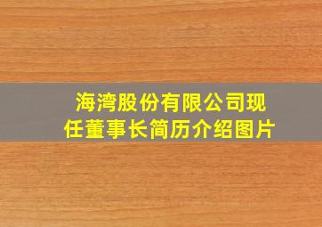 海湾股份有限公司现任董事长简历介绍图片