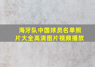 海牙队中国球员名单照片大全高清图片视频播放