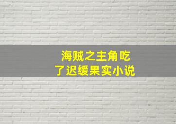 海贼之主角吃了迟缓果实小说