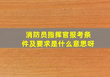 消防员指挥官报考条件及要求是什么意思呀