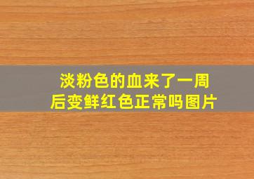 淡粉色的血来了一周后变鲜红色正常吗图片