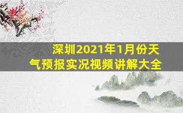 深圳2021年1月份天气预报实况视频讲解大全