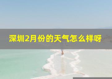 深圳2月份的天气怎么样呀