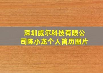 深圳威尔科技有限公司陈小龙个人简历图片