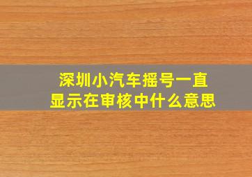 深圳小汽车摇号一直显示在审核中什么意思