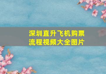 深圳直升飞机购票流程视频大全图片