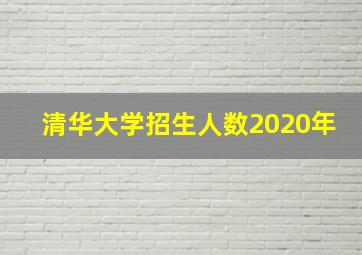 清华大学招生人数2020年