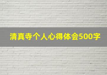 清真寺个人心得体会500字