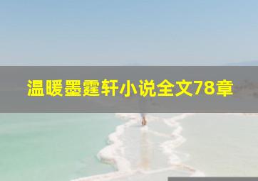 温暖墨霆轩小说全文78章