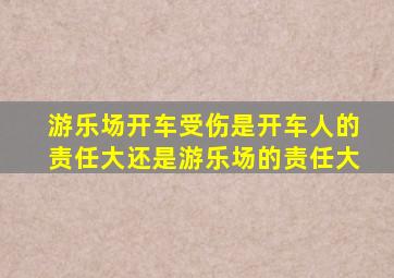 游乐场开车受伤是开车人的责任大还是游乐场的责任大