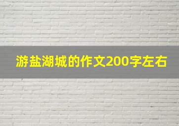 游盐湖城的作文200字左右