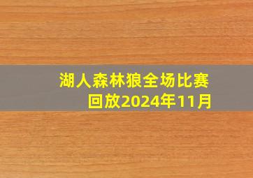 湖人森林狼全场比赛回放2024年11月