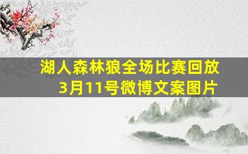 湖人森林狼全场比赛回放3月11号微博文案图片