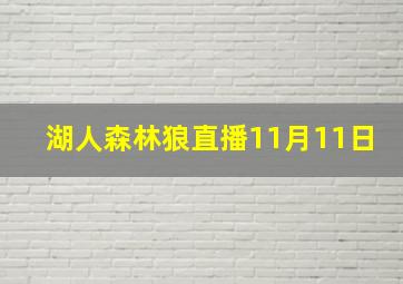 湖人森林狼直播11月11日