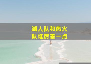 湖人队和热火队谁厉害一点