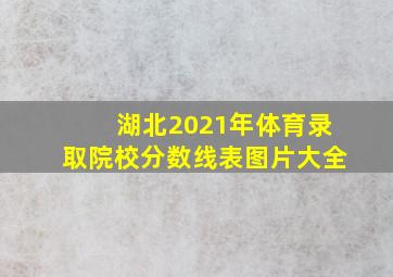 湖北2021年体育录取院校分数线表图片大全