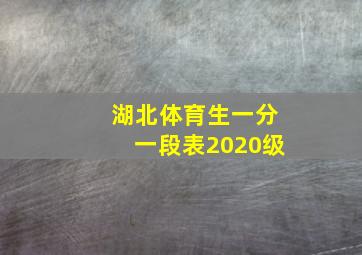 湖北体育生一分一段表2020级