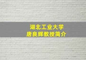 湖北工业大学唐良辉教授简介