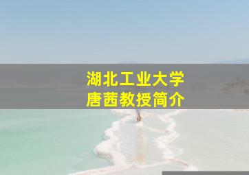 湖北工业大学唐茜教授简介