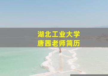 湖北工业大学唐茜老师简历