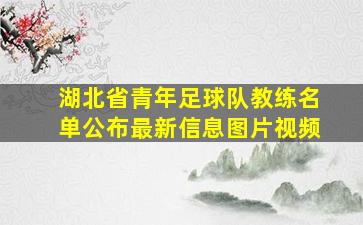 湖北省青年足球队教练名单公布最新信息图片视频