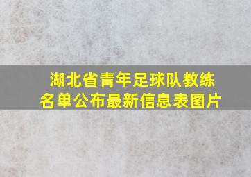 湖北省青年足球队教练名单公布最新信息表图片