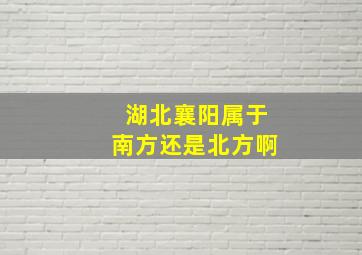 湖北襄阳属于南方还是北方啊