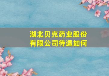 湖北贝克药业股份有限公司待遇如何