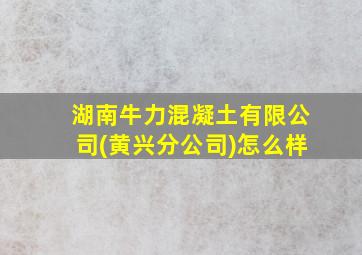 湖南牛力混凝土有限公司(黄兴分公司)怎么样