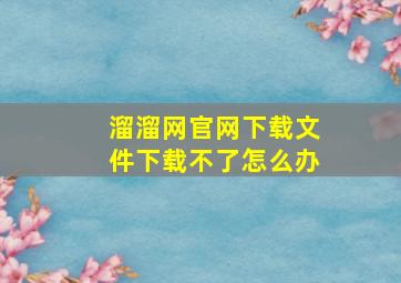 溜溜网官网下载文件下载不了怎么办