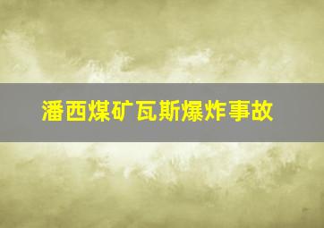 潘西煤矿瓦斯爆炸事故