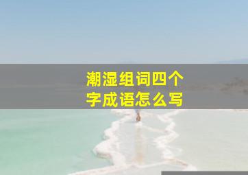 潮湿组词四个字成语怎么写