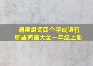 潮湿组词四个字成语有哪些词语大全一年级上册