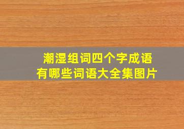 潮湿组词四个字成语有哪些词语大全集图片