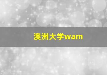 澳洲大学wam